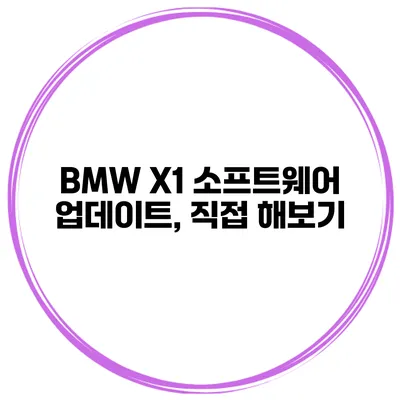 BMW X1 소프트웨어 업데이트, 직접 해보기