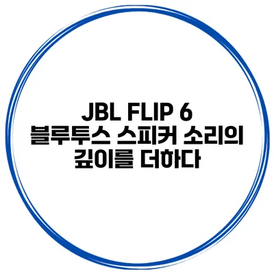 JBL FLIP 6 블루투스 스피커 소리의 깊이를 더하다