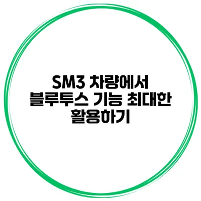 SM3 차량에서 블루투스 기능 최대한 활용하기