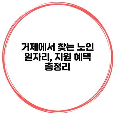 거제에서 찾는 노인 일자리, 지원 혜택 총정리