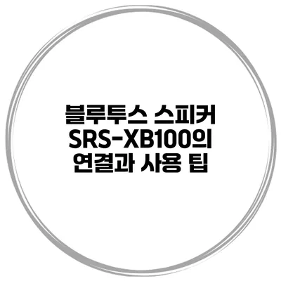 블루투스 스피커 SRS-XB100의 연결과 사용 팁