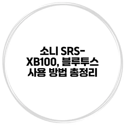 소니 SRS-XB100, 블루투스 사용 방법 총정리