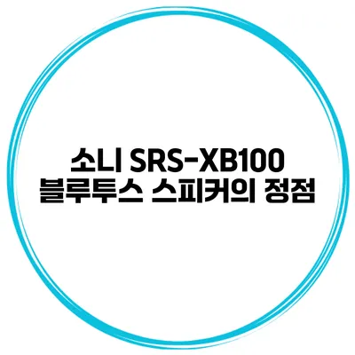 소니 SRS-XB100 블루투스 스피커의 정점