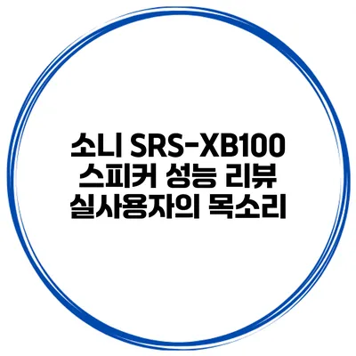 소니 SRS-XB100 스피커 성능 리뷰 실사용자의 목소리