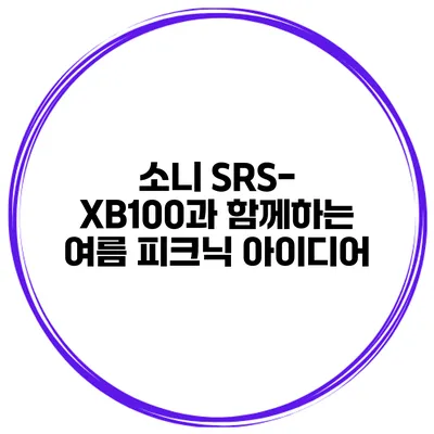 소니 SRS-XB100과 함께하는 여름 피크닉 아이디어