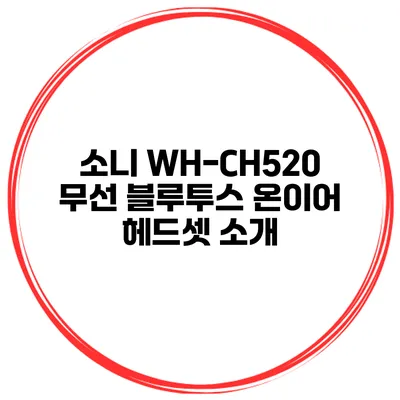 소니 WH-CH520 무선 블루투스 온이어 헤드셋 소개