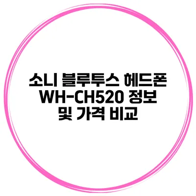 소니 블루투스 헤드폰 WH-CH520 정보 및 가격 비교
