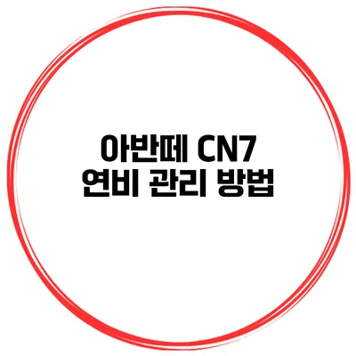 아반떼 CN7 연비 관리 방법