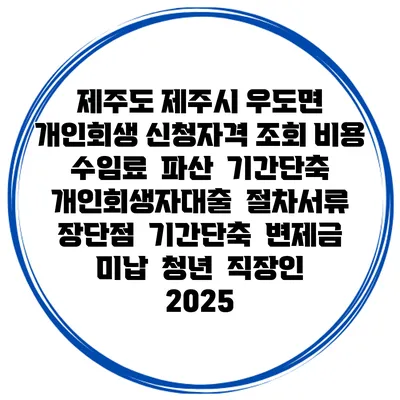 제주도 제주시 우도면 개인회생 신청자격 조회 비용 수임료 | 파산 | 기간단축 | 개인회생자대출 | 절차서류 | 장단점 | 기간단축 | 변제금 미납 | 청년 | 직장인 2025