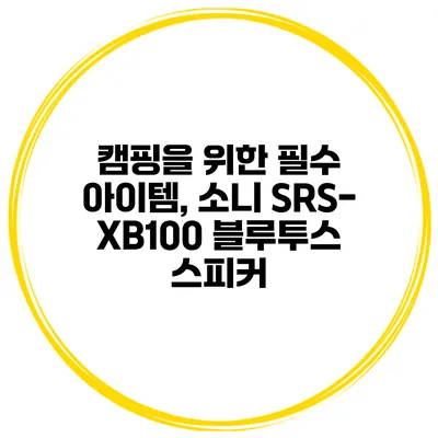 캠핑을 위한 필수 아이템, 소니 SRS-XB100 블루투스 스피커