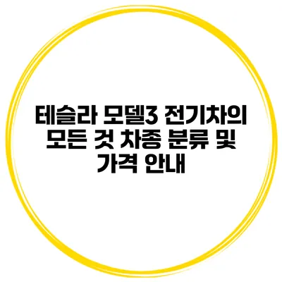 테슬라 모델3 전기차의 모든 것 차종 분류 및 가격 안내